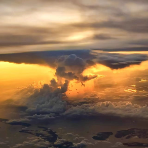 火影二创免费观看网站
