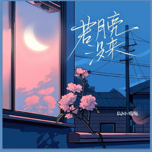 火影二创免费观看网站
