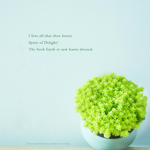 火影二创免费观看网站
